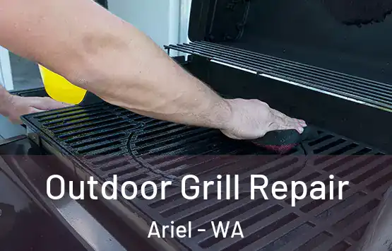  Outdoor Grill Repair Ariel - WA