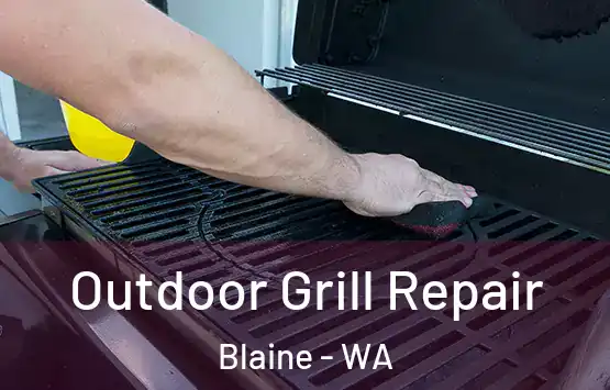  Outdoor Grill Repair Blaine - WA