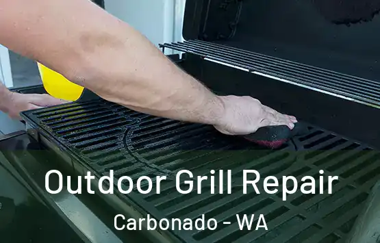  Outdoor Grill Repair Carbonado - WA