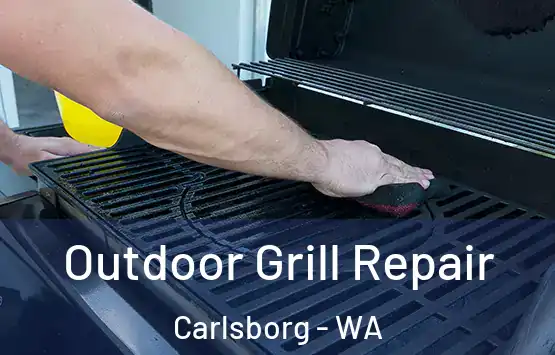  Outdoor Grill Repair Carlsborg - WA