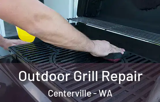  Outdoor Grill Repair Centerville - WA
