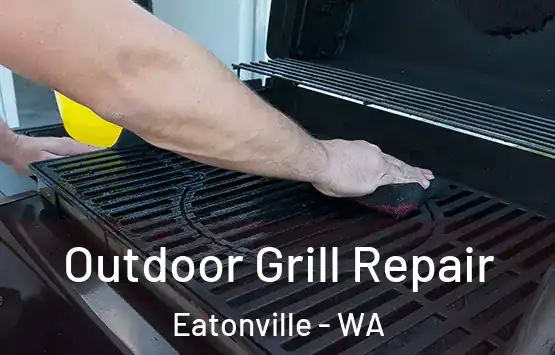  Outdoor Grill Repair Eatonville - WA