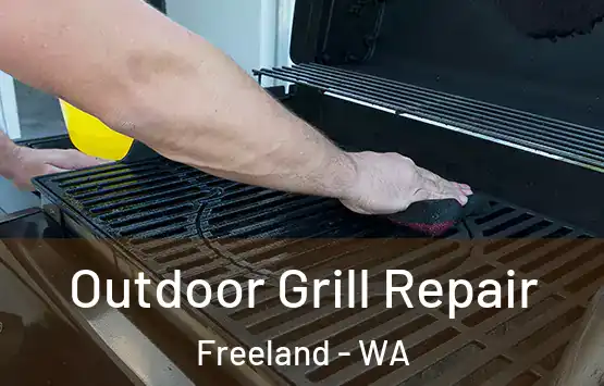  Outdoor Grill Repair Freeland - WA