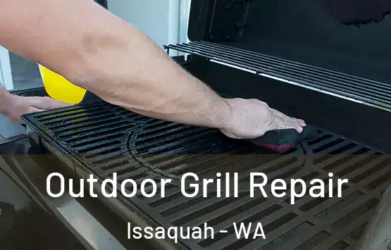  Outdoor Grill Repair Issaquah - WA