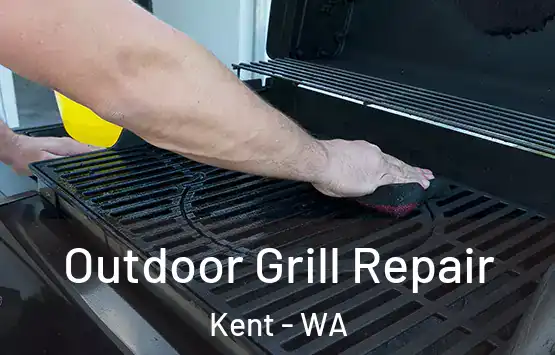  Outdoor Grill Repair Kent - WA