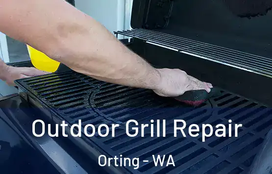  Outdoor Grill Repair Orting - WA
