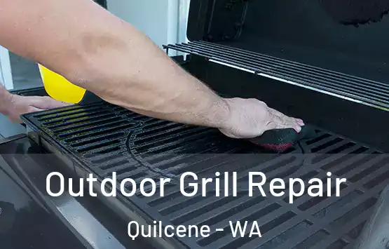  Outdoor Grill Repair Quilcene - WA