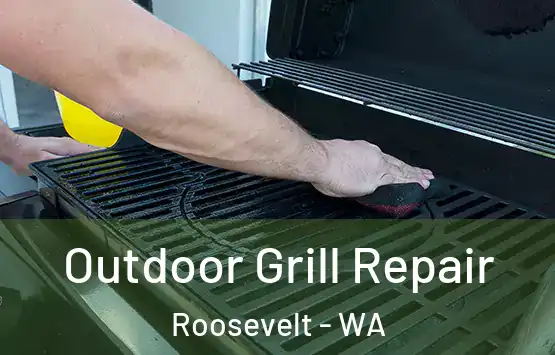  Outdoor Grill Repair Roosevelt - WA