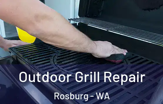 Outdoor Grill Repair Rosburg - WA