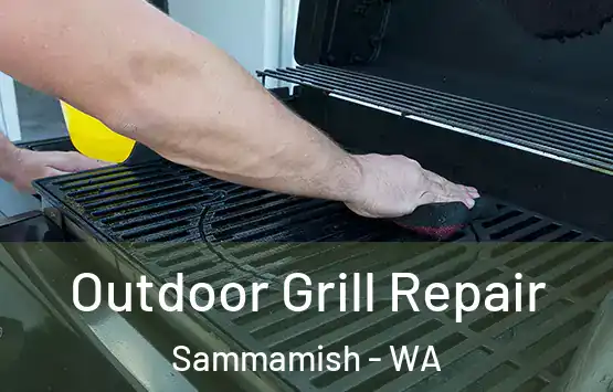  Outdoor Grill Repair Sammamish - WA