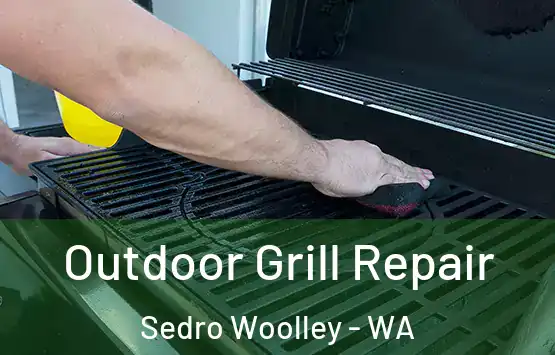 Outdoor Grill Repair Sedro Woolley - WA