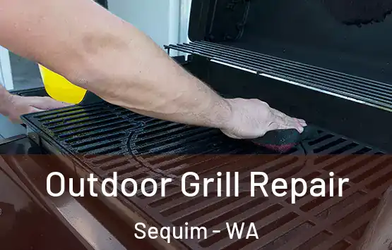  Outdoor Grill Repair Sequim - WA