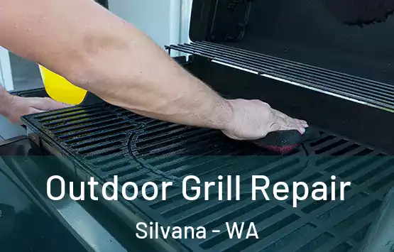 Outdoor Grill Repair Silvana - WA