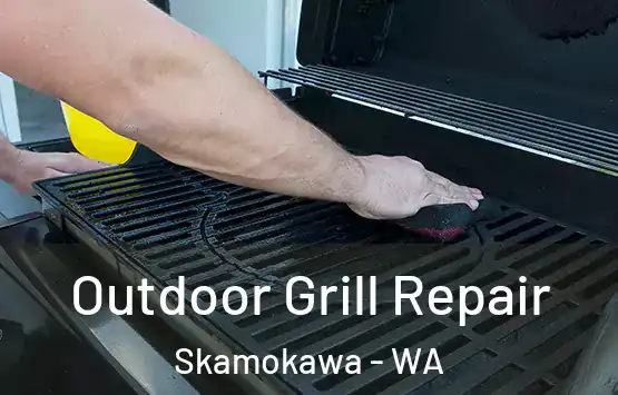  Outdoor Grill Repair Skamokawa - WA