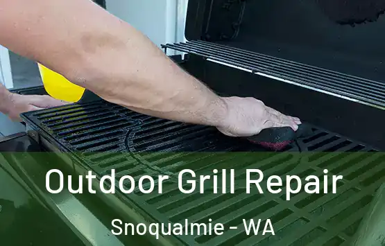  Outdoor Grill Repair Snoqualmie - WA