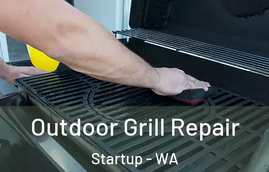  Outdoor Grill Repair Startup - WA