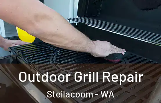  Outdoor Grill Repair Steilacoom - WA