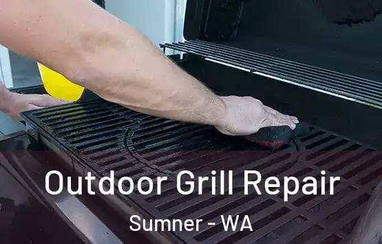  Outdoor Grill Repair Sumner - WA