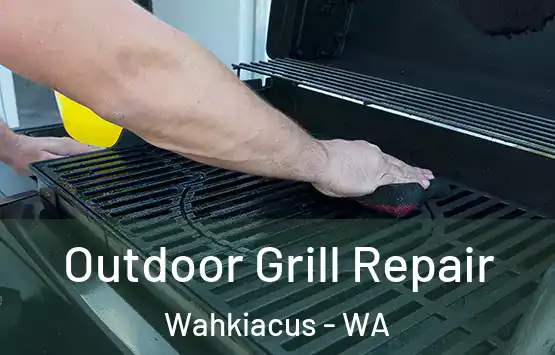  Outdoor Grill Repair Wahkiacus - WA