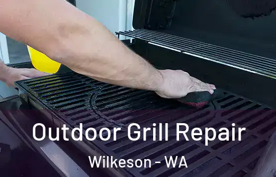  Outdoor Grill Repair Wilkeson - WA