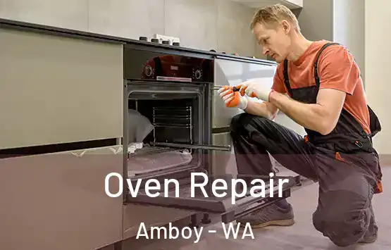  Oven Repair Amboy - WA