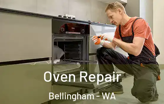 Oven Repair Bellingham - WA