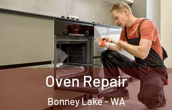  Oven Repair Bonney Lake - WA