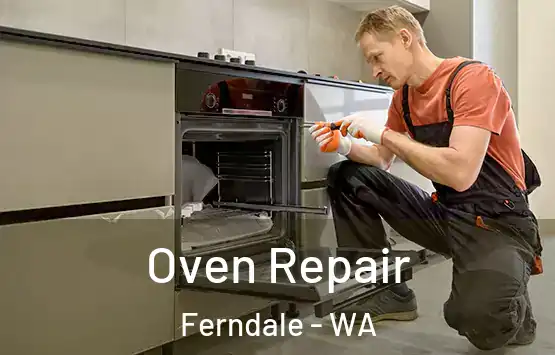  Oven Repair Ferndale - WA