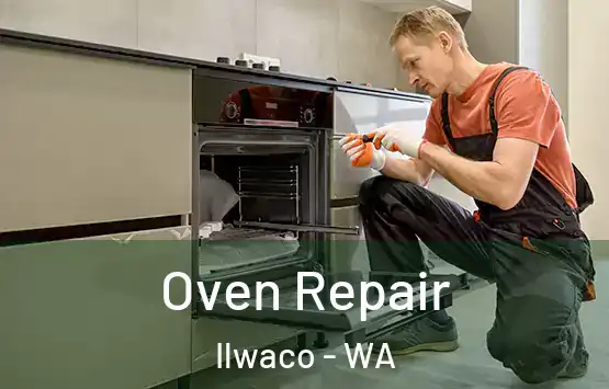  Oven Repair Ilwaco - WA