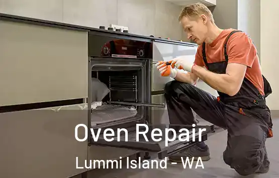  Oven Repair Lummi Island - WA
