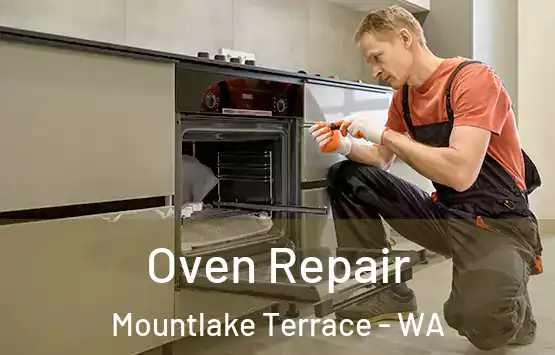  Oven Repair Mountlake Terrace - WA