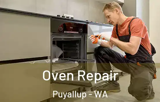  Oven Repair Puyallup - WA
