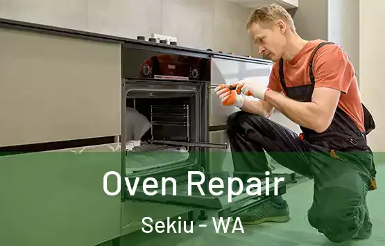  Oven Repair Sekiu - WA