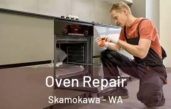  Oven Repair Skamokawa - WA