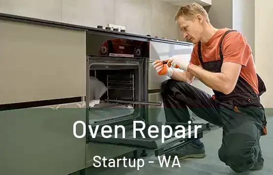  Oven Repair Startup - WA