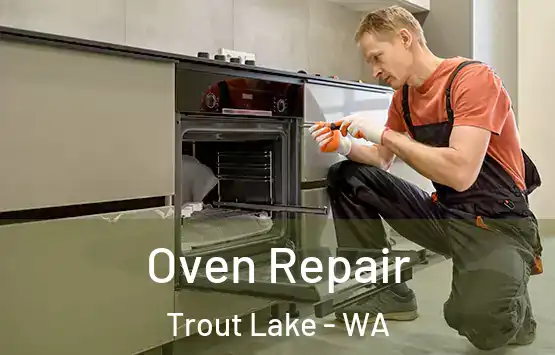  Oven Repair Trout Lake - WA