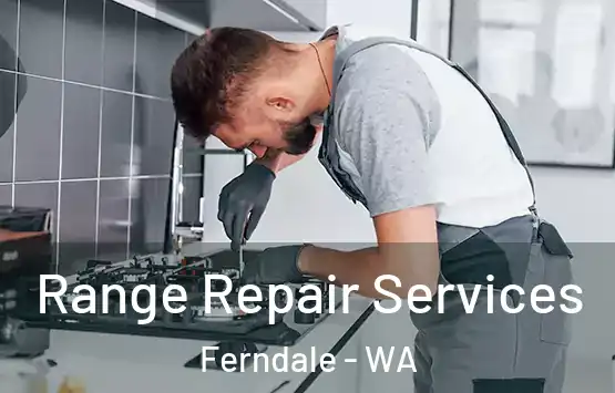  Range Repair Services Ferndale - WA