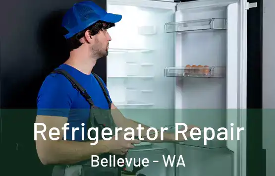  Refrigerator Repair Bellevue - WA