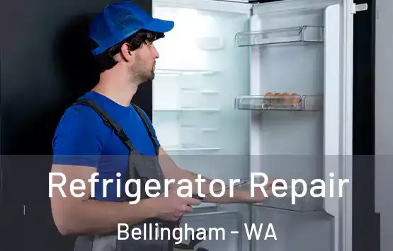  Refrigerator Repair Bellingham - WA