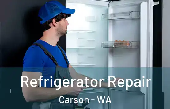  Refrigerator Repair Carson - WA
