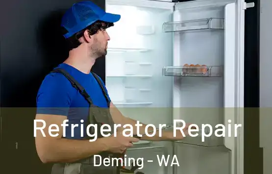  Refrigerator Repair Deming - WA