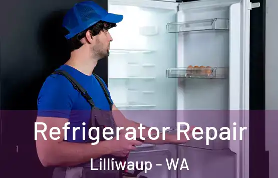  Refrigerator Repair Lilliwaup - WA