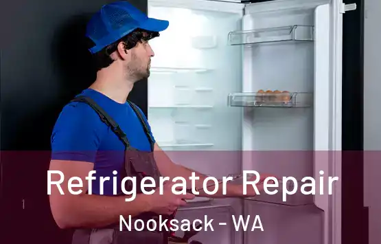  Refrigerator Repair Nooksack - WA