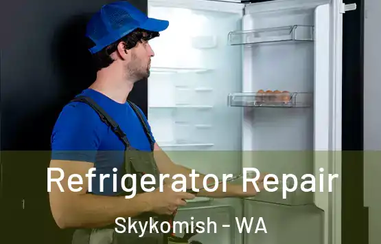  Refrigerator Repair Skykomish - WA
