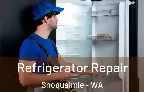  Refrigerator Repair Snoqualmie - WA