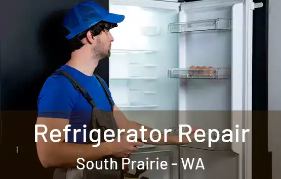  Refrigerator Repair South Prairie - WA