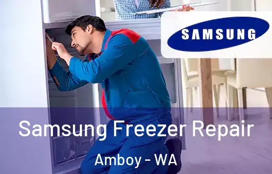  Samsung Freezer Repair Amboy - WA