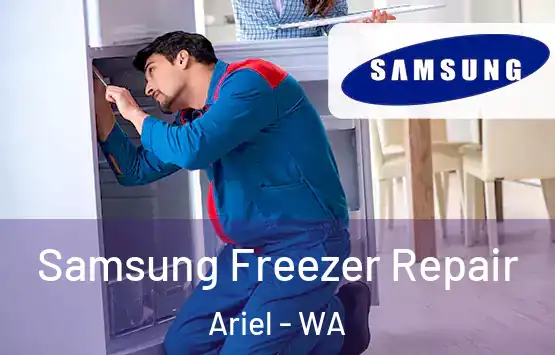  Samsung Freezer Repair Ariel - WA