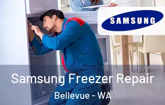  Samsung Freezer Repair Bellevue - WA