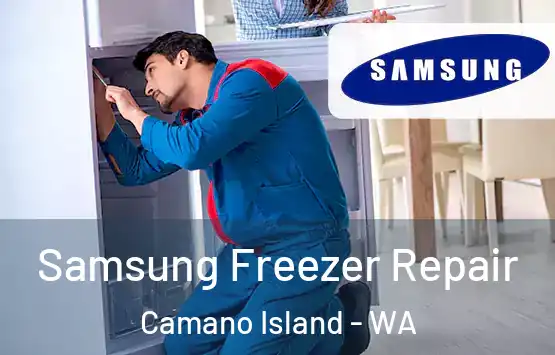  Samsung Freezer Repair Camano Island - WA